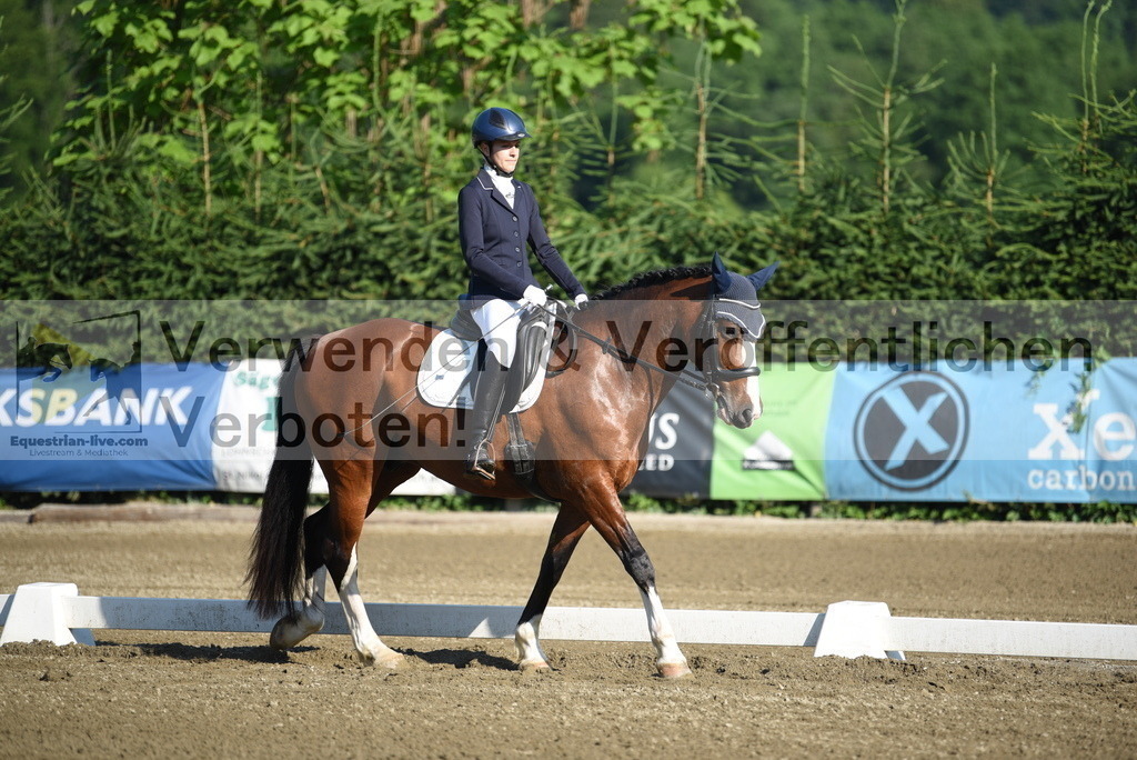 DSC_6866 | equestrian-live-com