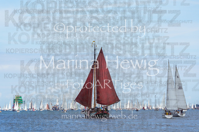 Windjammer24_MarinaHewig-4662 | Fotografie, FotoArt, PferdesportArt, Pferdesportfotografie, Landschaftsfotografie, Reisefotografie, Reise, Pferde - Realisiert mit Pictrs.com
