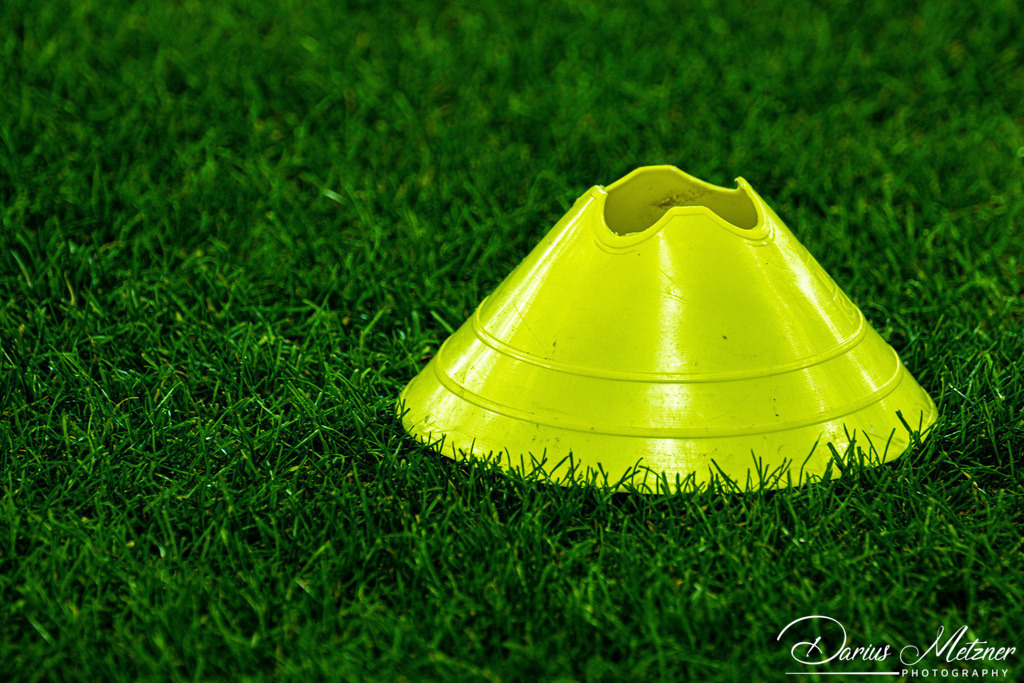 _DSC8926 | Fotografien, Fotos und Bilder aus Mainz, Frankfurt, Wiesbaden und anderen Orten auf der Welt - Fotografiert von Darius Metzner