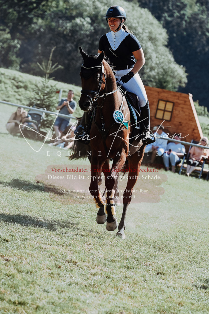 DSC_6240 | Pferde- und Turnierfotografie in Westsachsen. Pferdeportraits, Auftragszeichnungen und intuitive Kunst.