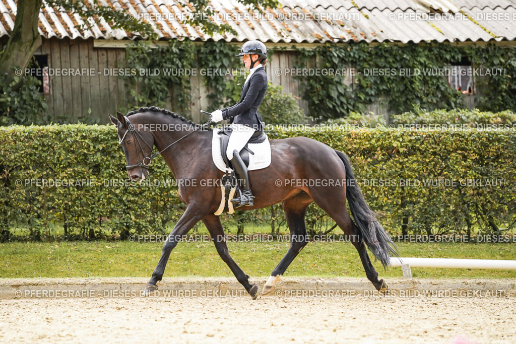 DSC00809 | Pferdegrafie