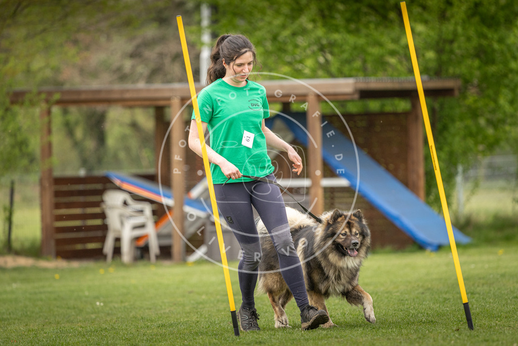 Pfotenfotografie_DV3A1711 | Hundefotografie, Tierfotograf, Pfotenfotografie, Fotoshooting Hund, Hunde Portrait, Hundesport, Hundeportraits, Heideshooting, Hunde, Sportfotograf, Hundefotograf, Turnierhundsport, THS,  - Realisiert mit Pictrs.com