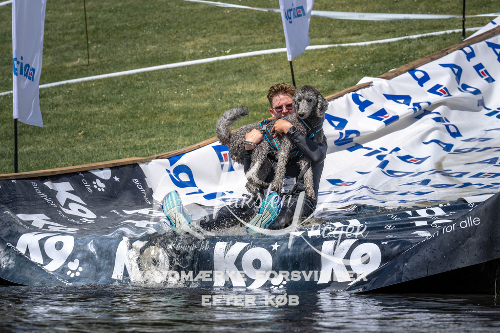 1114_ZZ91596 | kk-dogfotos