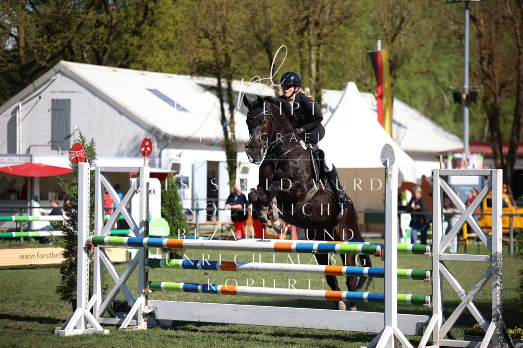 IMGT0374 | pl-fotografie