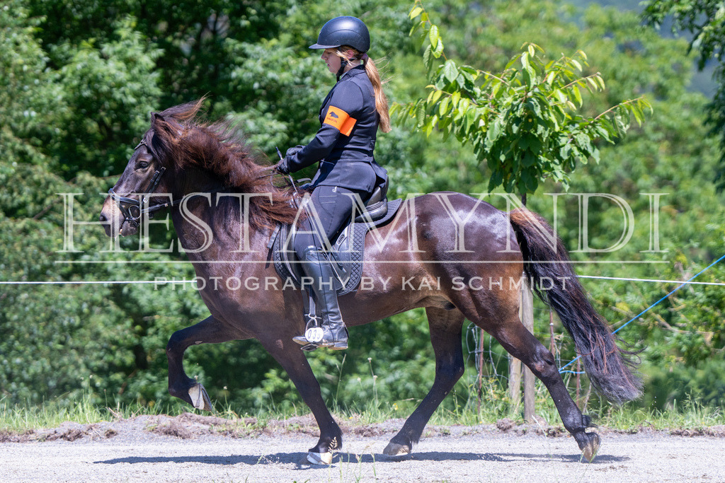 KAI08281 | Ihr sucht einen Fotografen für eure nächste OSI? Ich begleite auch euer Turnier für Islandpferde fotografisch.  - Realisiert mit Pictrs.com