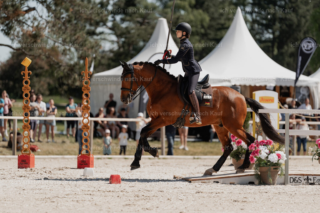 _DSC5470 | Pferd International München 2025
