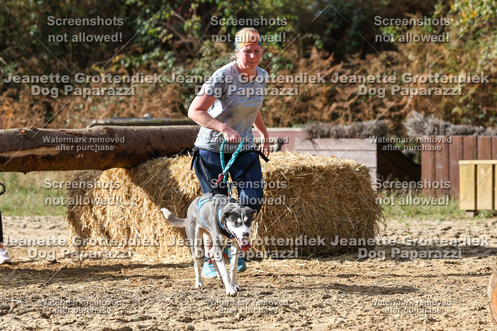 Dog Paparazzi - Strongdog 10-25-5057 | Dog Paparazzi Jeanette Grottendiek Fotografie & Videografie - Realisiert mit Pictrs.com