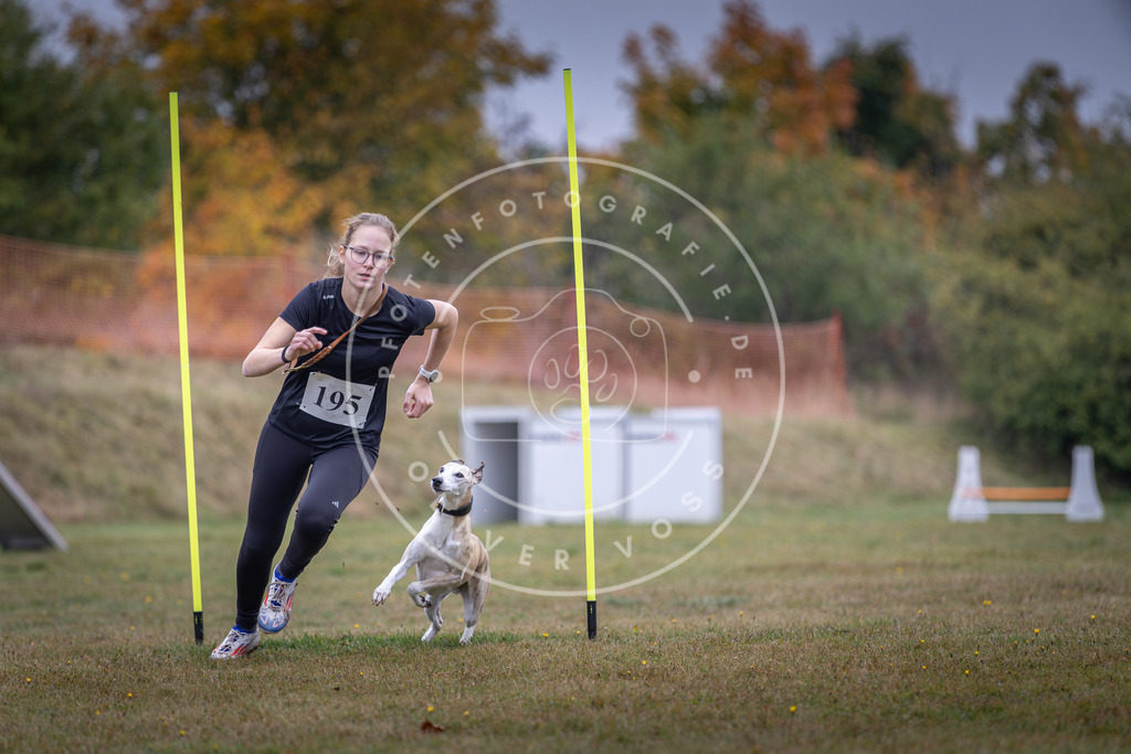 Pfotenfotografie_DV3A1017 | Hundefotografie, Tierfotograf, Pfotenfotografie, Fotoshooting Hund, Hunde Portrait, Hundesport, Hundeportraits, Heideshooting, Hunde, Sportfotograf, Hundefotograf, Turnierhundsport, THS,  - Realisiert mit Pictrs.com