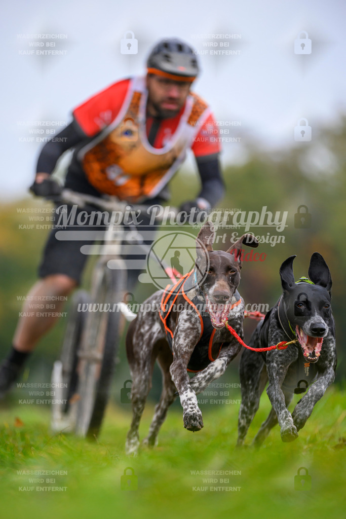 MompixPhotography_CDLBDB2025_DI_DS-11 | PayLife
