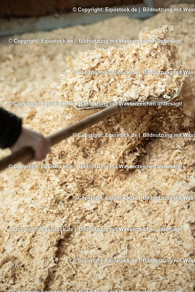 20190409_Einstreu_in_Pferdebox_0044 | Foto: Thomas Hartig