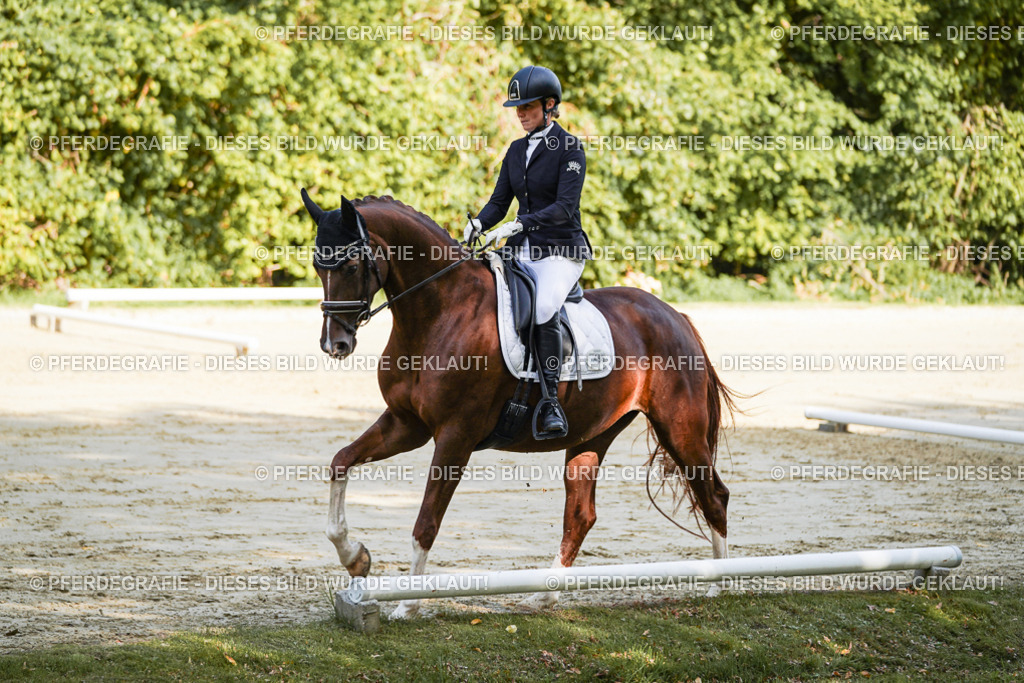 DSC08762 | Pferdegrafie