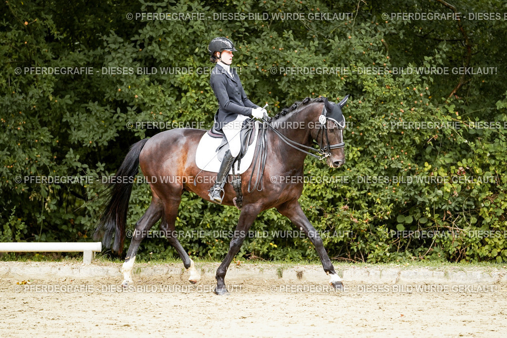 DSC03857 | Pferdegrafie