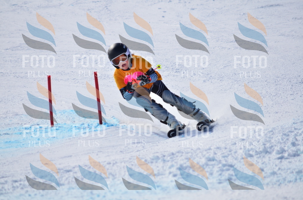 C9533 | holidayphoto