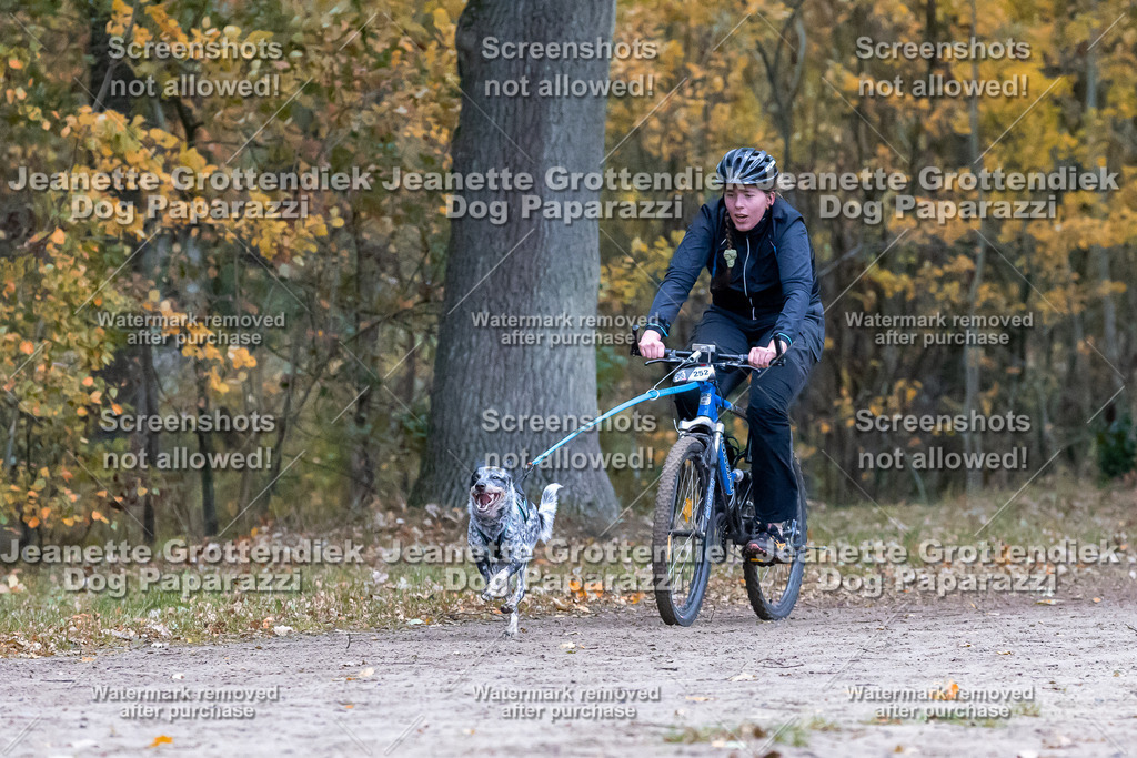 Dog Paparazzi - SD CaniX Championship 2025-273 | Dog Paparazzi Jeanette Grottendiek Fotografie & Videografie - Realisiert mit Pictrs.com