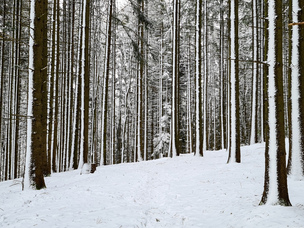 2021_01_23 20210123 | bridgeman - Realisiert mit Pictrs.com