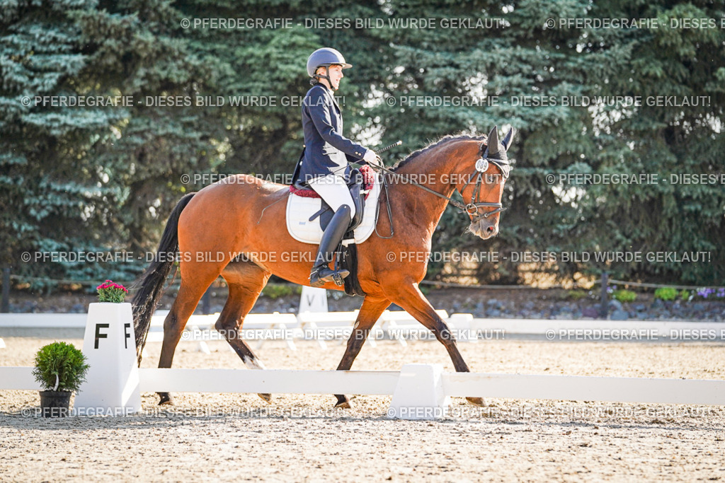 DSC09210 | Pferdegrafie