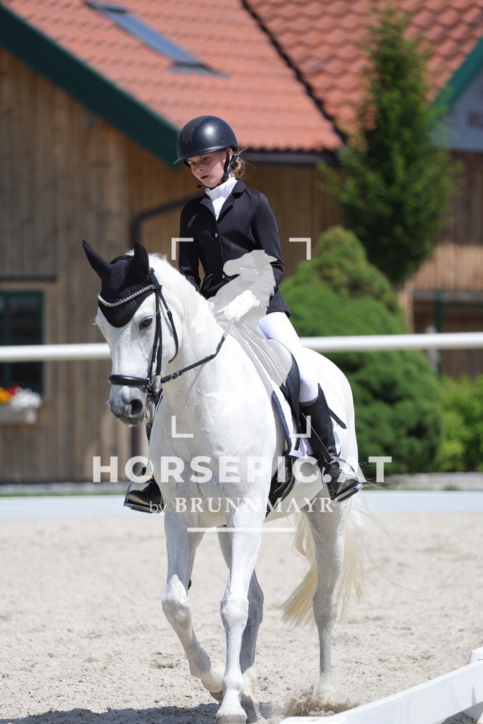 0P6A6005 | Willkommen bei Brunnmayr - Design & Fotografie – Ihrem Spezialisten für Reitturniere und Pferdeveranstaltungen in Oberösterreich, Salzburg und Bayern! Seit über 17 Jahren sind wir leidenschaftlich dabei.