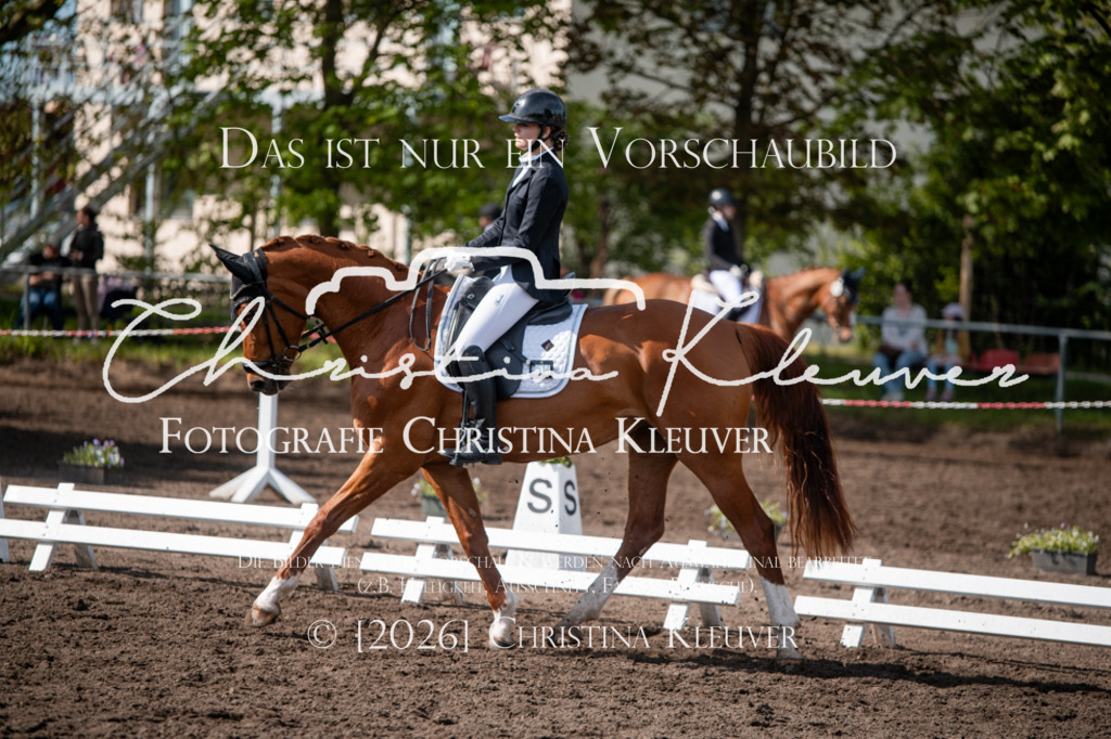 DSC_9172 | Christina-Kleuver