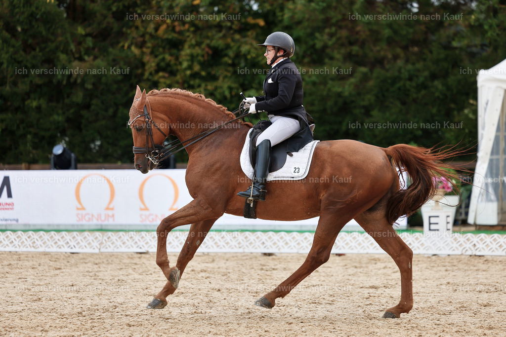 07-023-DRESSUR  S___  -StoibPH-5047 | working equitationturnier fotograf videograf stoibphotography marixx film working equitation deutschland reitsport turnierfotografie eventfotografie equestrian events