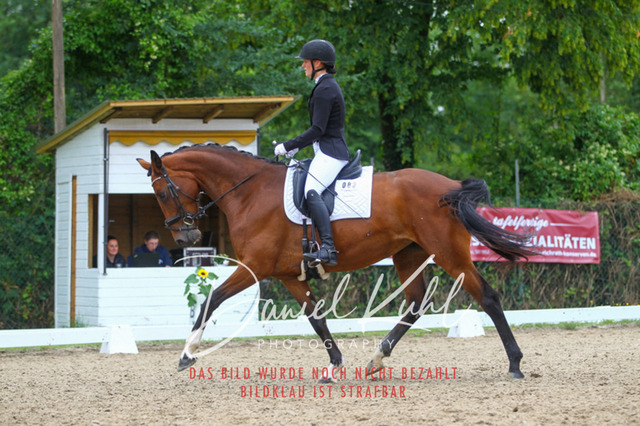 DKP40464 | Turniersportfotografie; Pferdefotografie; Dressurfotografie