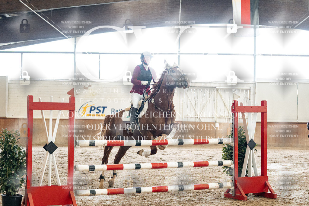 CK906310 | Turnierfotografie Pferdefotografie Trier Rheinland-Pfalz Pferdesport Reitsport Tierfotografie Sportfotografie Pferdevideo Pferdevideografie Equestrianvideography equestrianphotography  - Realized with Pictrs.com