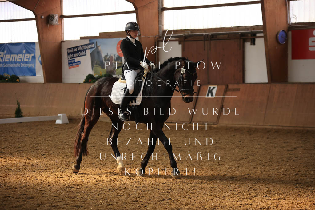 IMGT8217 | pl-fotografie