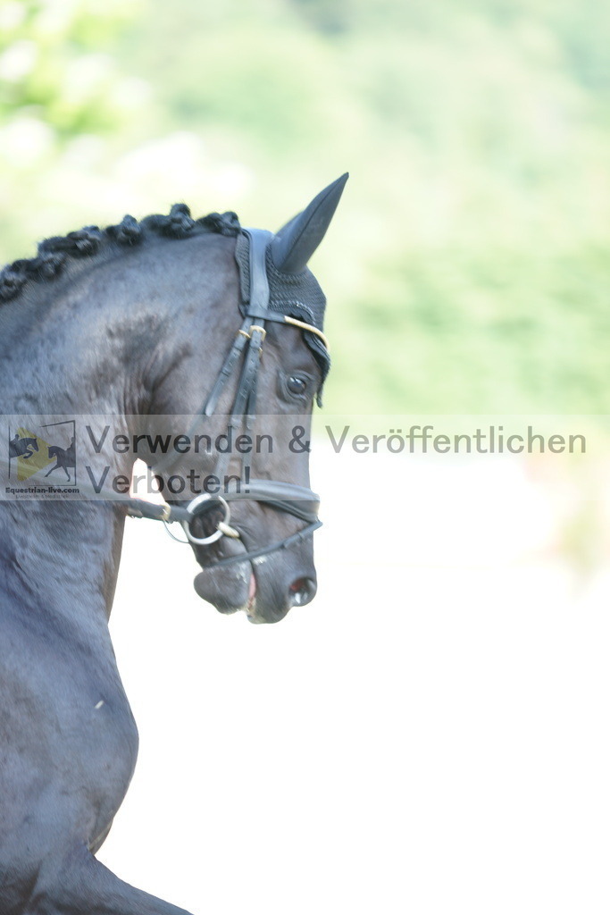 DSC01259 | equestrian-live-com