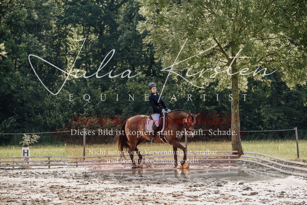DSC_9291 | Pferde- und Turnierfotografie in Westsachsen. Pferdeportraits, Auftragszeichnungen und intuitive Kunst.