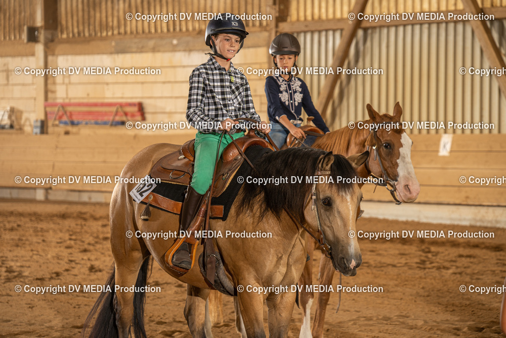 NID02916 | dv-media-shop - Realisiert mit Pictrs.com