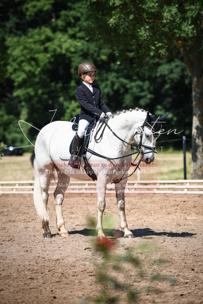 DSC_3582 | Pferde- und Turnierfotografie in Westsachsen. Pferdeportraits, Auftragszeichnungen und intuitive Kunst.