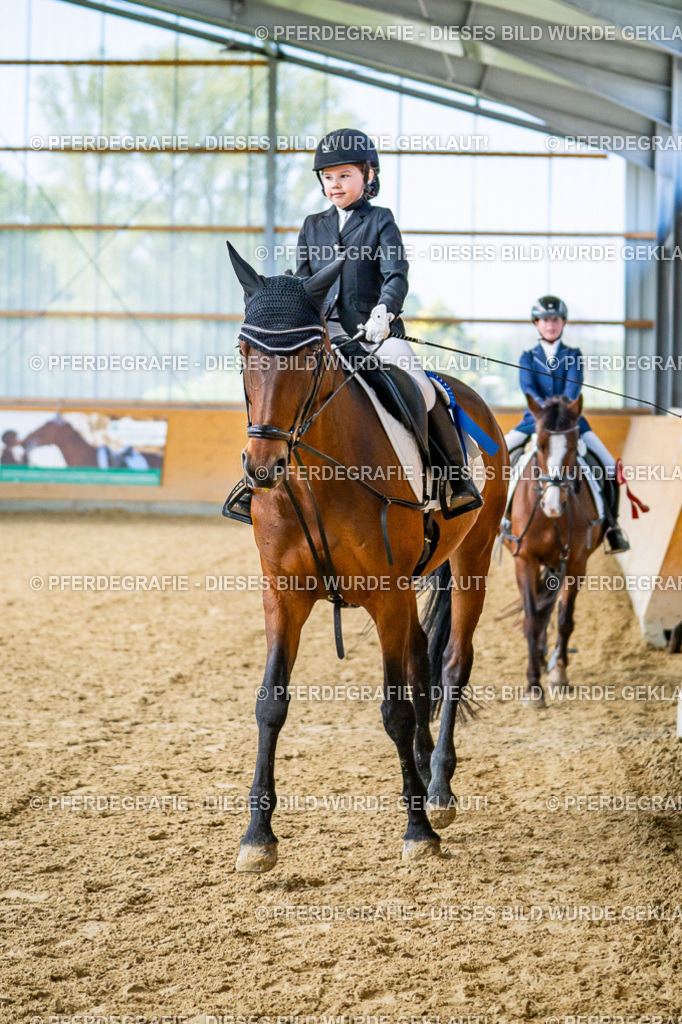 DSC02770 | Pferdegrafie