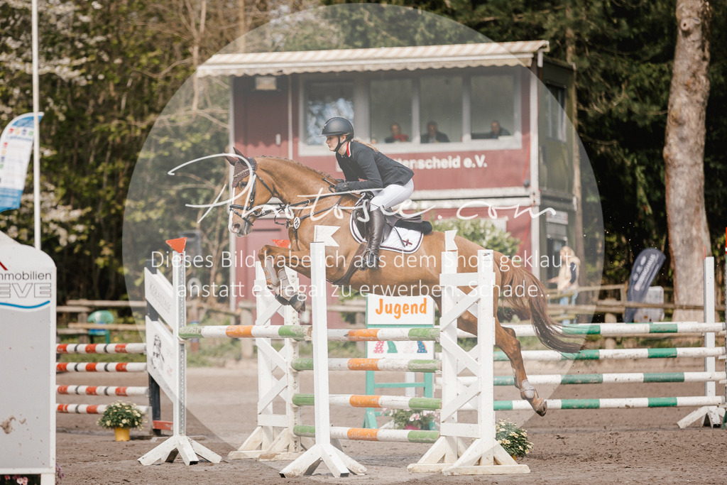 3I6A4331 | Stimmungsvolle Portraits und Reitsportfotografie im Ruhrgebiet und im Münsterland.

Pferdefotografie, Hundefotografie, Tierfotografie, Reportagen, Portraits von Tier und Mensch, Turnierfotografie in Bochum, Recklinghausen, Marl, Haltern am See, Dülmen.. - Realisiert mit Pictrs.com