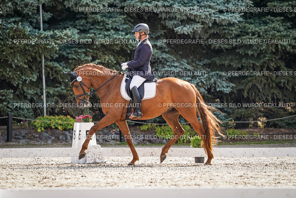 DSC06684 | Pferdegrafie