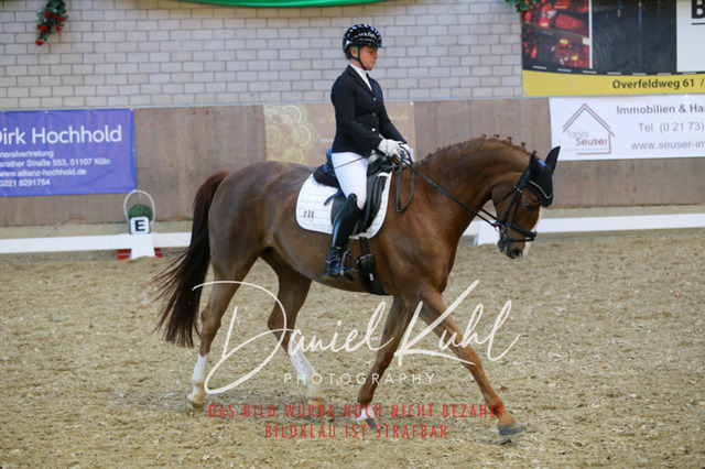 IMG_2994 | Turnierfotos kaufen im Webshop von Daniel Kuhl Photography – entdecke professionelle Reitsportfotos aus Turnieren & Events. Hochwertige Turnierbilder online bestellen & sichern. Jetzt Fotos von Reitsportturnieren kaufen!