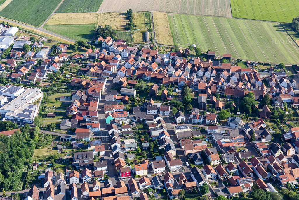 Luftbild: Waldstraße in Hatzenbühl im Bundesland Rheinland-Pfalz in Deutschland.Foto: IMG_132364.jpg vom 03.06.2022 durch Werner Riehm/FLY-FOTO.deAuflösung des Originals: 5472 x 3648 pxHatzenbühl – Das Tabakdorf in der Südpfalz