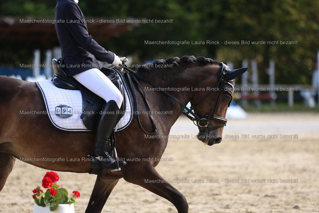 HG9A9993 | laurarinckfotografie - Realisiert mit Pictrs.com