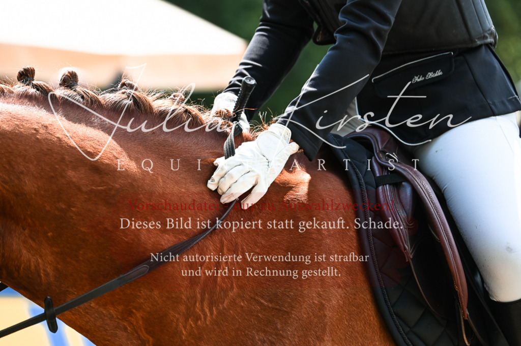 DSC_8854 | Pferde- und Turnierfotografie in Westsachsen. Pferdeportraits, Auftragszeichnungen und intuitive Kunst.