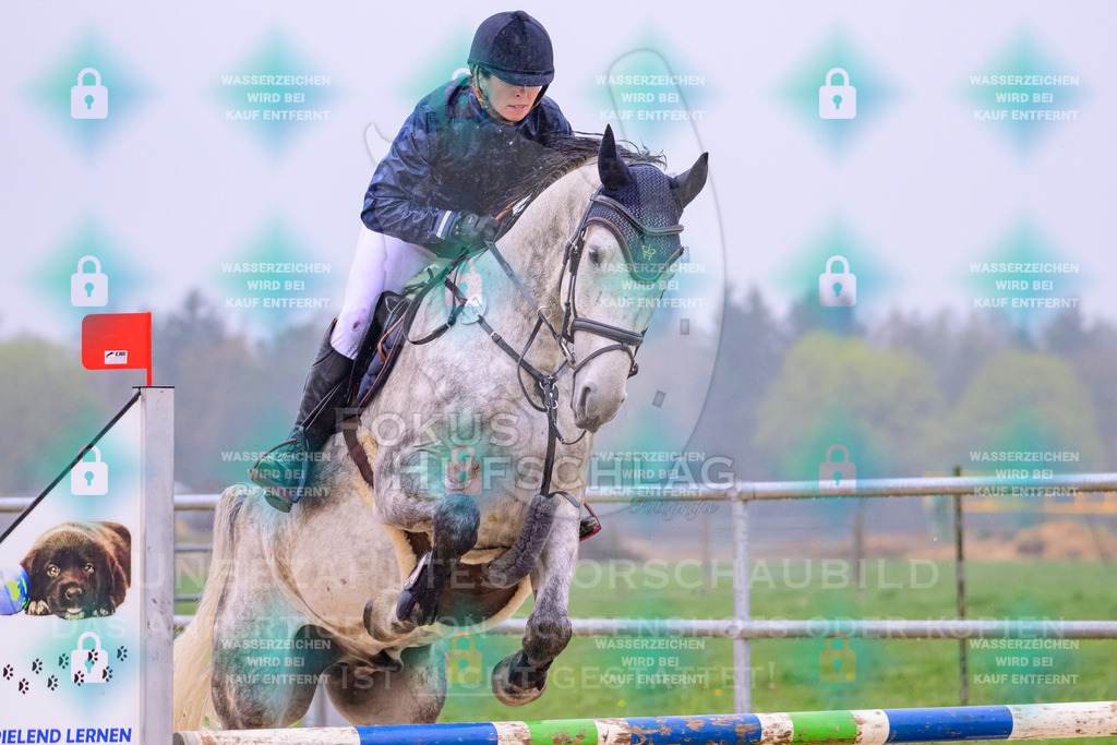 10042026-Mammendorf-Prfg14-0166 | Fokus Hufschlag Fotografie - Realisiert mit Pictrs.com