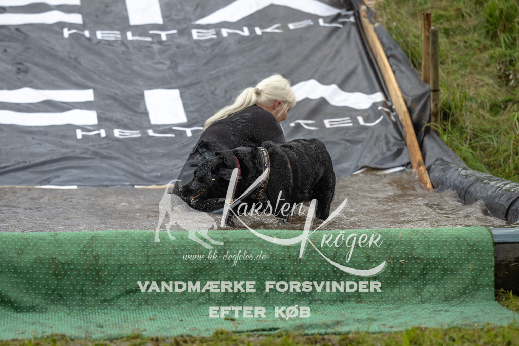 1614_ZZ92876 | kk-dogfotos