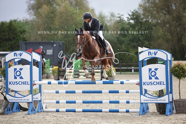 1J2A8955Cedric Becat_ Chella von der Streem_ Kn212_ Havekost | Foto- und Videografie für alles rund ums Pferd. Hochwertige Bilder und Videos vom Spring- und Dressurreiten, Voltigieren & mehr. Jetzt aktuelle Veranstaltungen und Preise im Shop ansehen. - Realisiert mit Pictrs.com