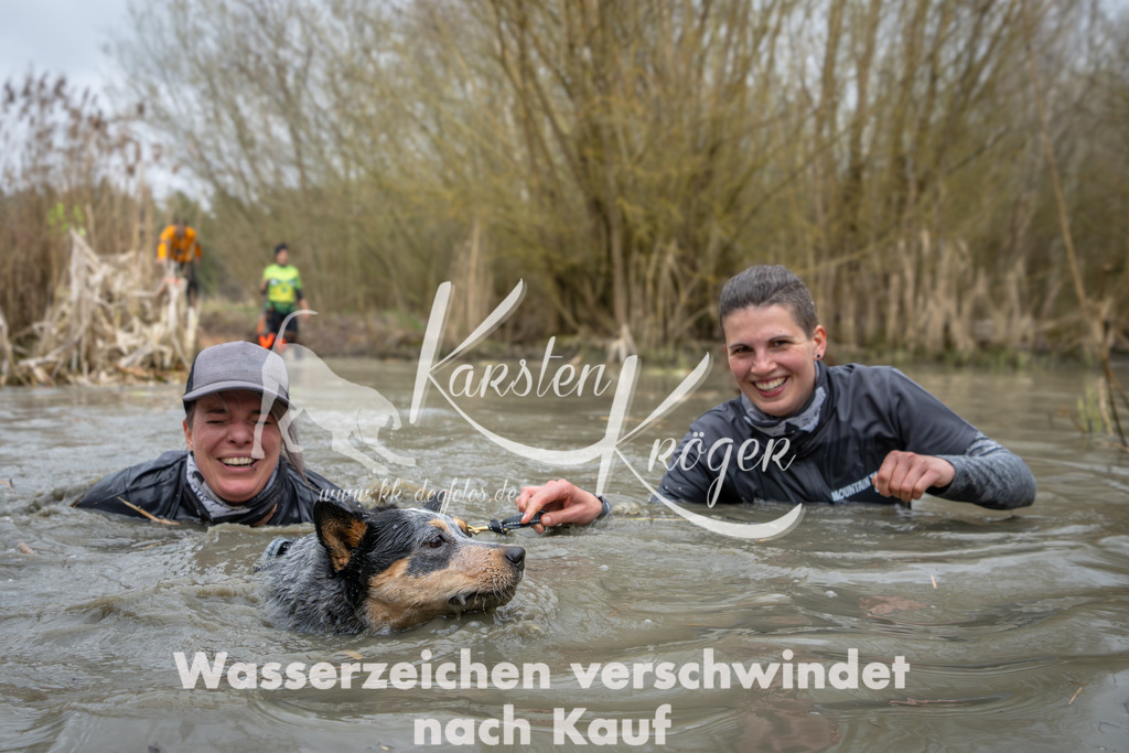 1354_ZZ94473 | kk-dogfotos
