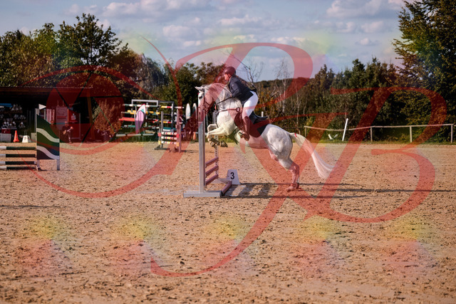 2026_10_03_Siefer-Hof_153935_Z81_54759541 | Professionelle Reitsport-, Turnier- und Eventfotografie von Robert Broda. Galerien mit ausgewählten und bearbeiteten Bildern direkt online ansehen und bestellen.