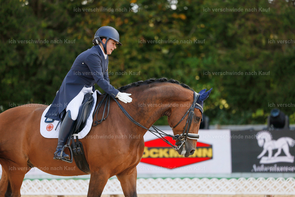 09_2-169-DRESSUR  S_  -StoibPH-5767 | working equitationturnier fotograf videograf stoibphotography marixx film working equitation deutschland reitsport turnierfotografie eventfotografie equestrian events