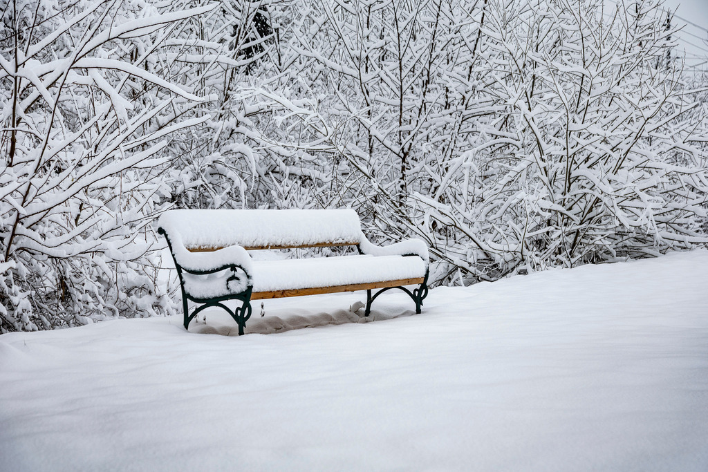 _ 3382_WINTER26_8001 | WInteraufnahmen Loosdorf 2026