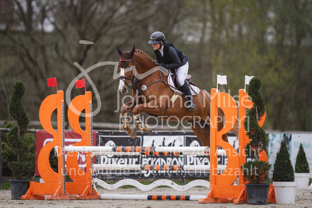 240330_Fruehlingsfest_Stil-A1_U30-377 | Deine schönsten Turniermomente als professionelle Fotos! Entdecke hochwertige Pferdesport-Fotografie im Online-Shop. Jetzt Fotos finden & bestellen!