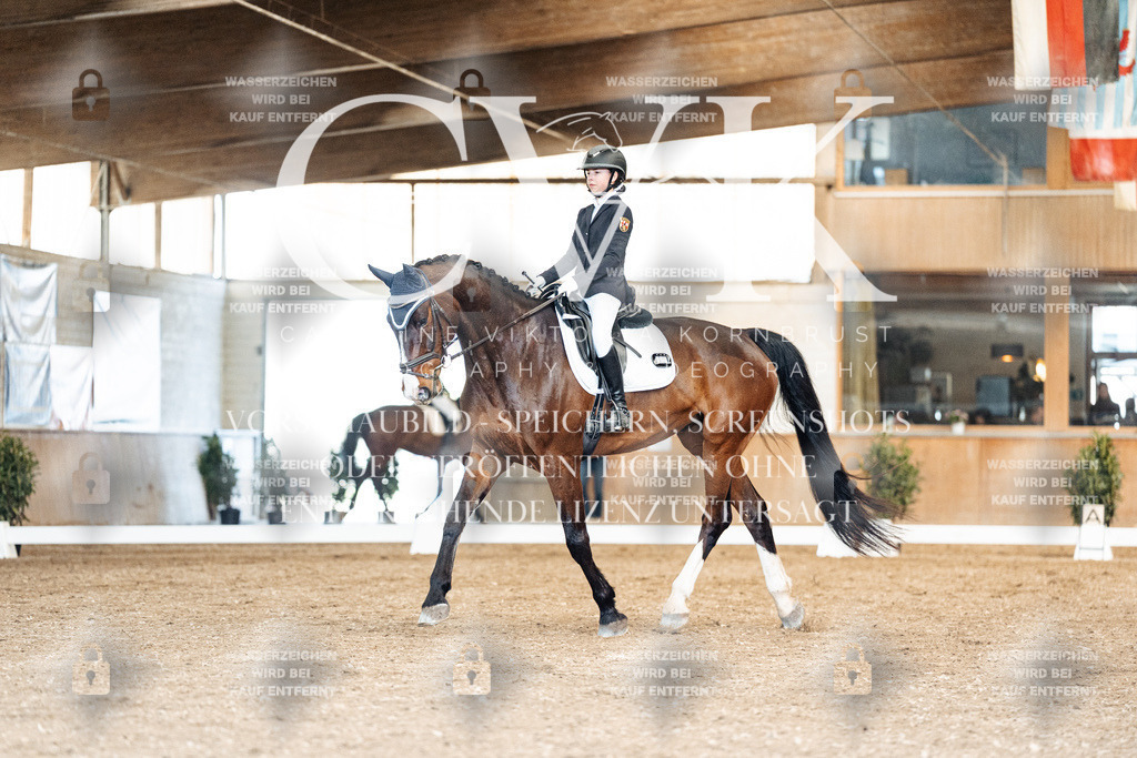 CK901142 | Turnierfotografie Pferdefotografie Trier Rheinland-Pfalz Pferdesport Reitsport Tierfotografie Sportfotografie Pferdevideo Pferdevideografie Equestrianvideography equestrianphotography  - Realisiert mit Pictrs.com