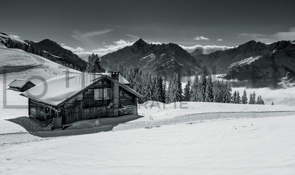 DSC08046 | Tinu Müller Fotografie- Bildershop - Realisiert mit Pictrs.com