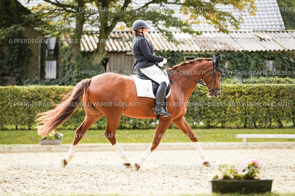 DSC01379 | Pferdegrafie