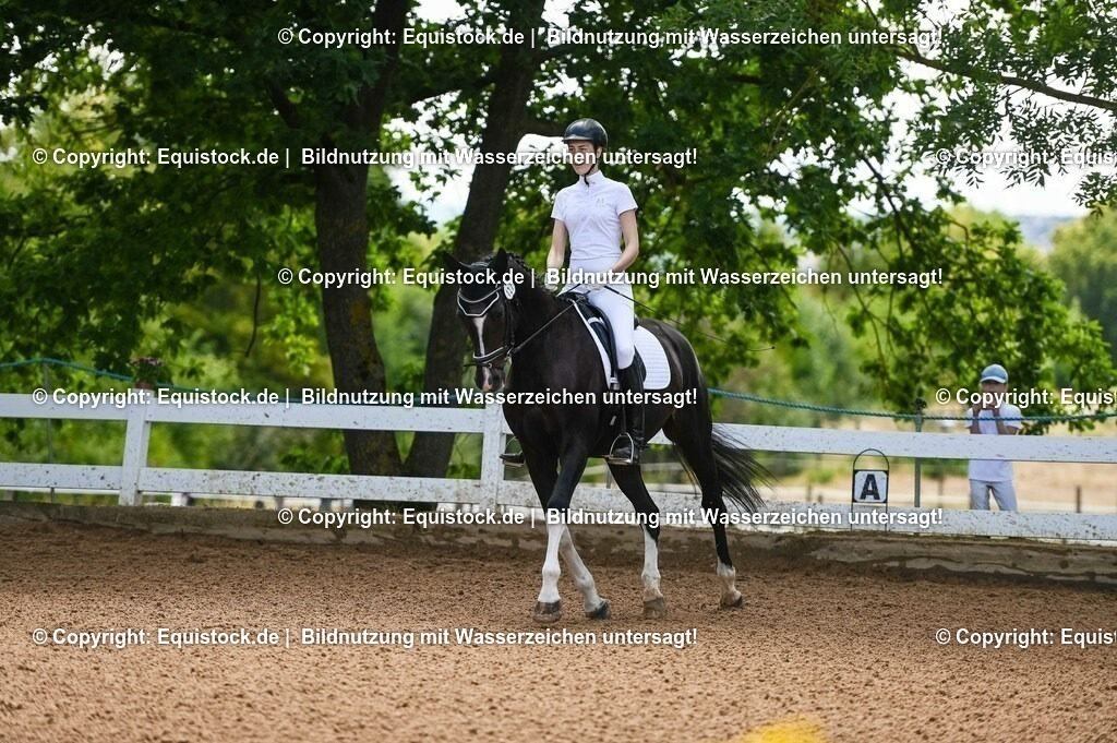 20230716_03_Dressurprfg. Kl.L - Tr._0032 | equistock