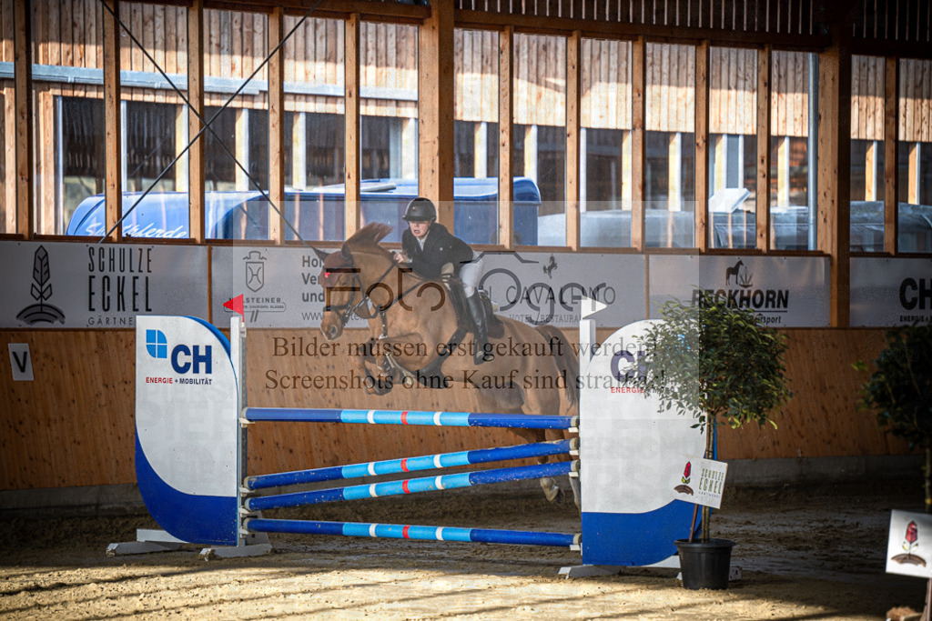 DOS_0591 | Entdecke hochwertige Reitturnierfotos von Foto Oger. Professionell, emotional und authentisch – jetzt Lieblingsmomente im Shop bestellen.Deutschlandweite Turnierfotografie. - Realisiert mit Pictrs.com